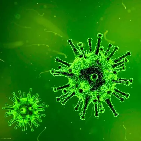 Das Virus und die saisonale Grippe Saisonale Grippe und Virus