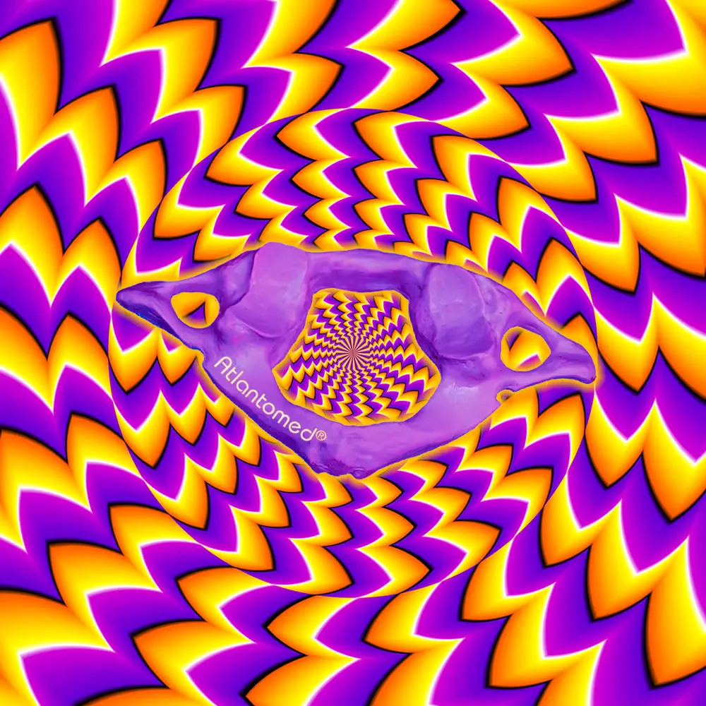 Illusion chiropraktischer Halswirbelmanipulationen